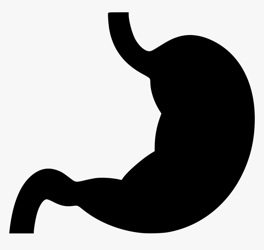 Stomach - Stomach Png Icon, Transparent Png, Free Download