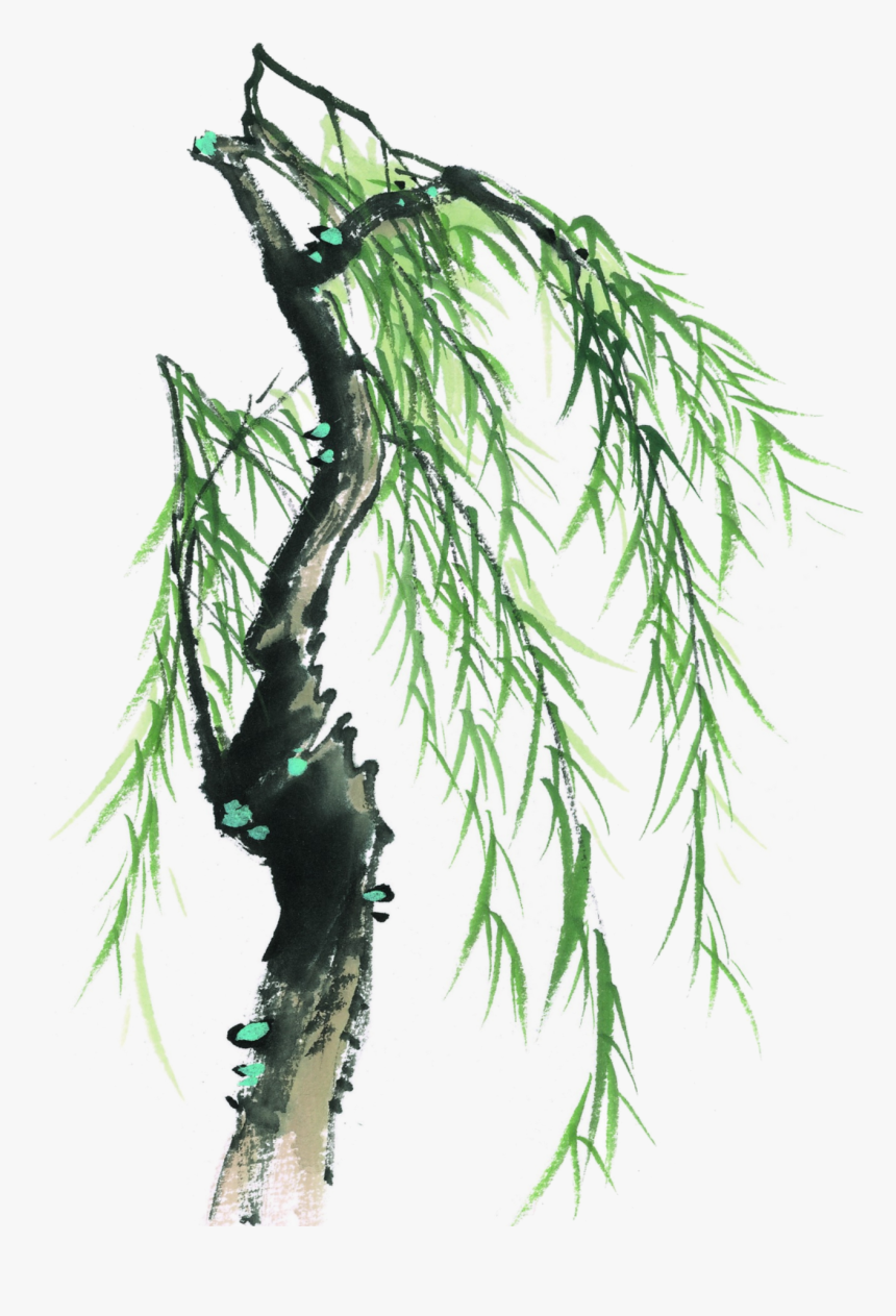 This Graphics Is Painted Willow Tree Element Design - 柳树 国画, HD Png Download, Free Download