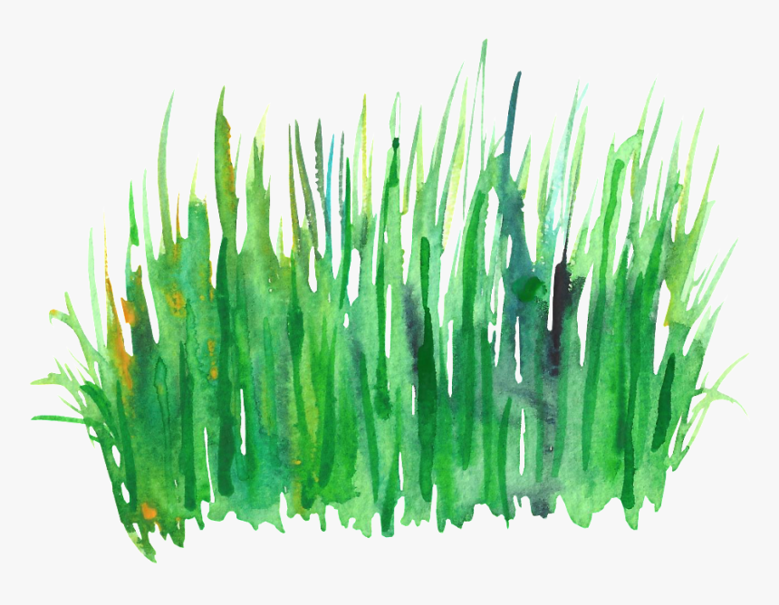 Green Grass Cluster Transparent Decorative - Green Glass Watercolor Painting, HD Png Download, Free Download
