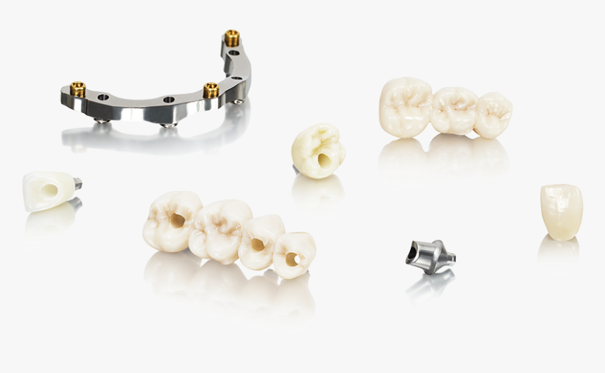 Prosthetic Rehabilitation Courses - Earrings, HD Png Download, Free Download