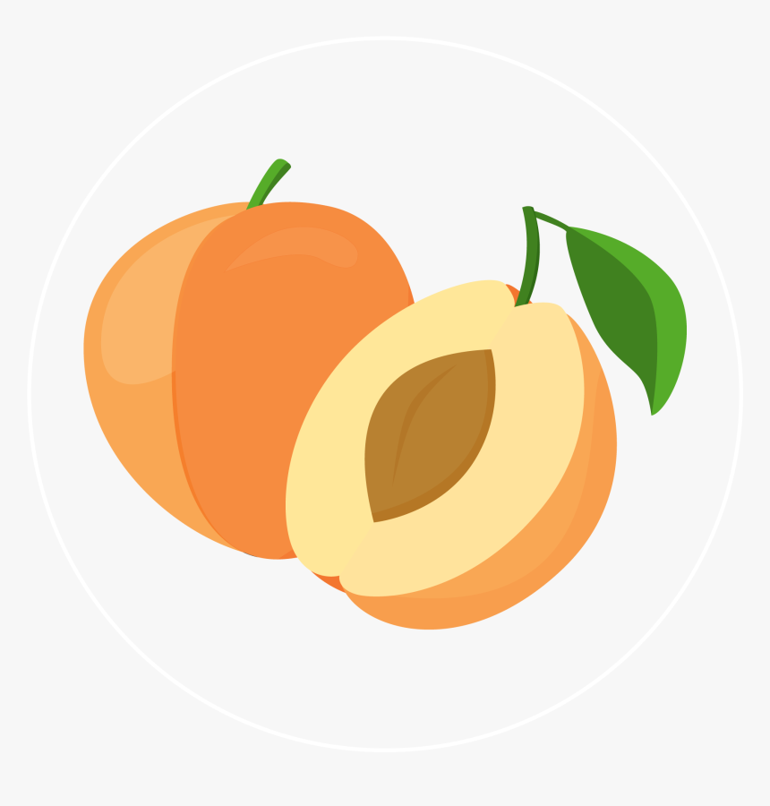 Apricot-icon - Peel, HD Png Download, Free Download