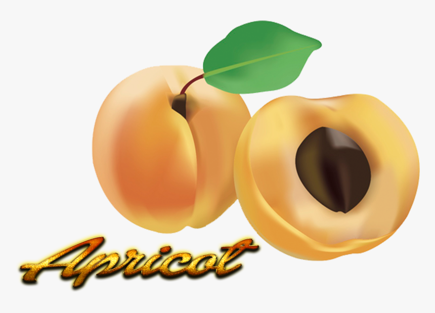 Fruit Clipart , Png Download - Fruit, Transparent Png, Free Download