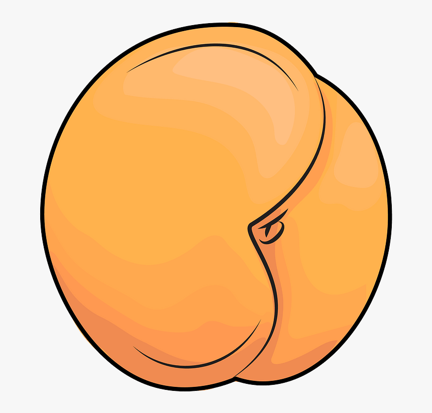 Apricot Clipart - Appricot Clip Art, HD Png Download, Free Download
