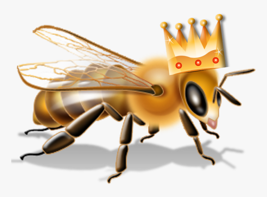 Transparent Bee Transparent Png - Bee Hazard Icon, Png Download, Free Download