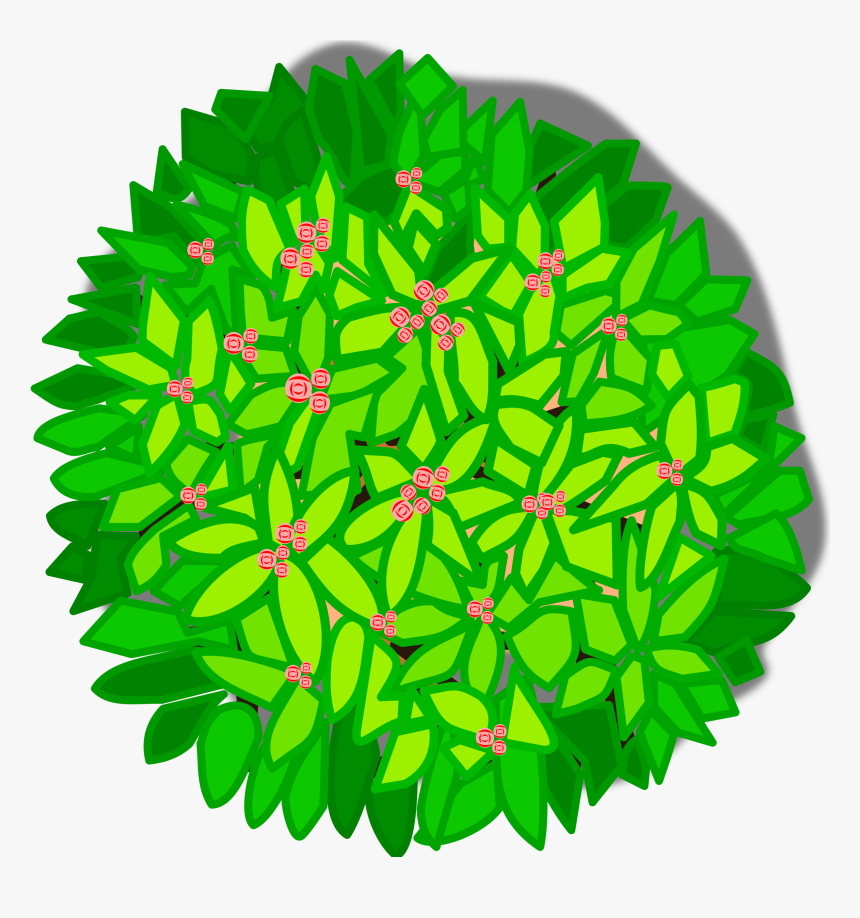 Tree Top View Clipart , Png Download Transparent Png - Tree Top View Clipart, Png Download, Free Download