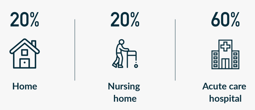 Infographic On How People Die 20% At Home 20% In Nursing - Graphic Design, HD Png Download, Free Download