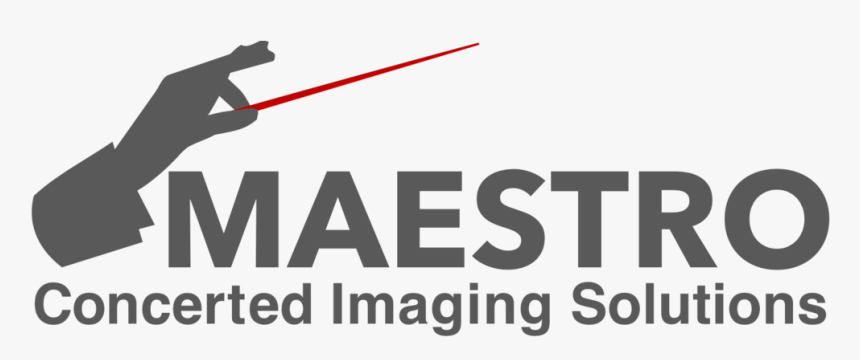 Maestro Image Clean Developer, HD Png Download, Free Download