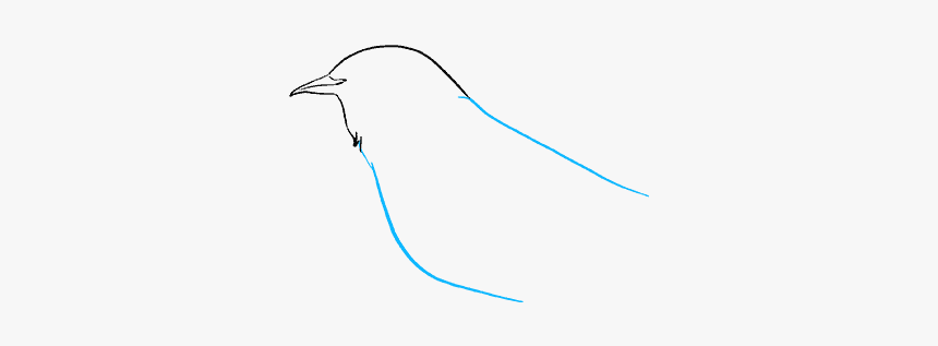 How To Draw Mockingbird - Drawing, HD Png Download, Free Download