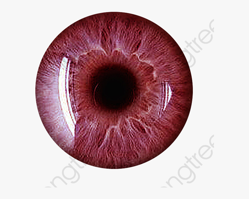 Transparent Eye Iris Png - Red Eye Lens Png, Png Download, Free Download