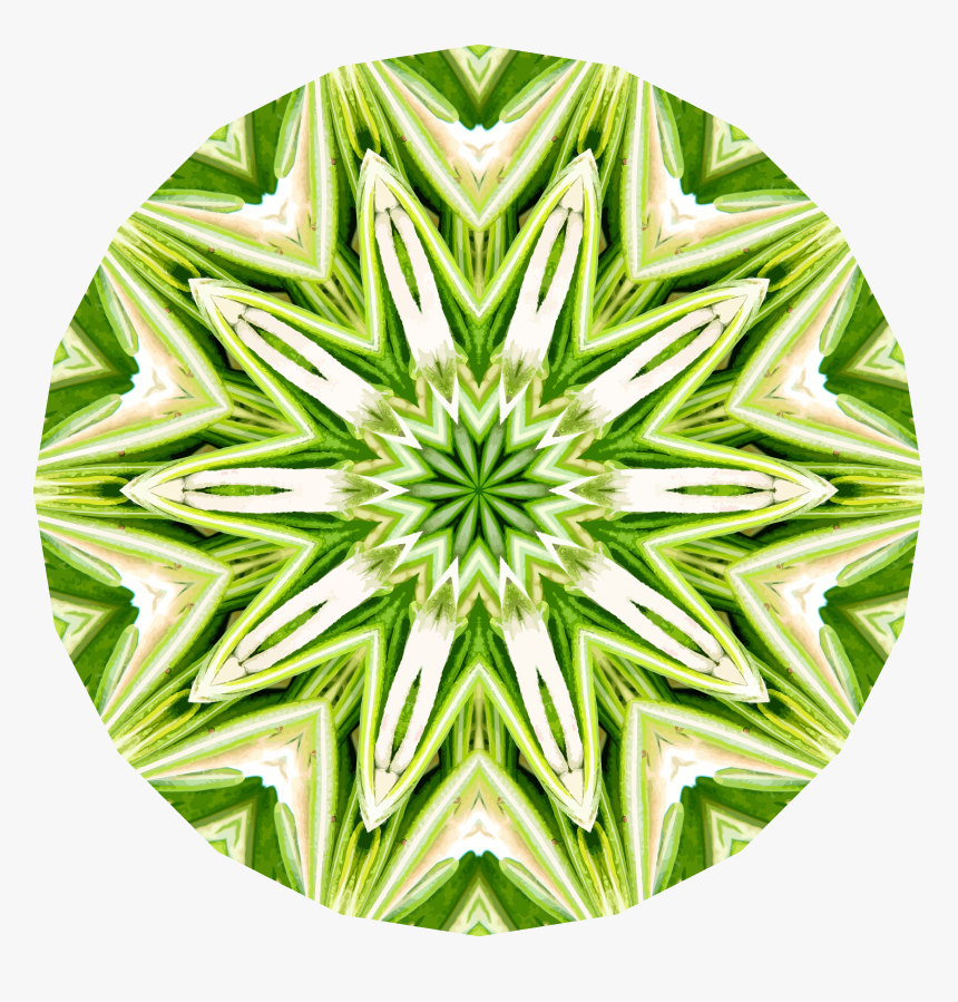 Rosemary Kaleidoscope 1 Clip Arts - Illustration, HD Png Download, Free Download