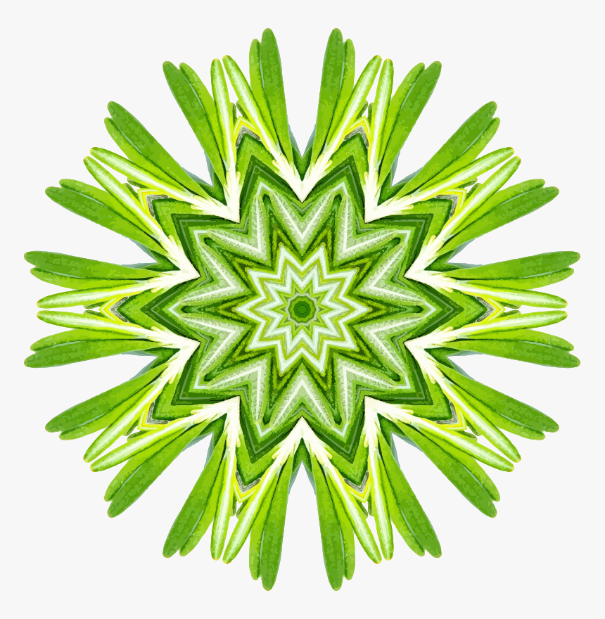 Rosemary Kaleidoscope - Old Bank Logo Png, Transparent Png, Free Download