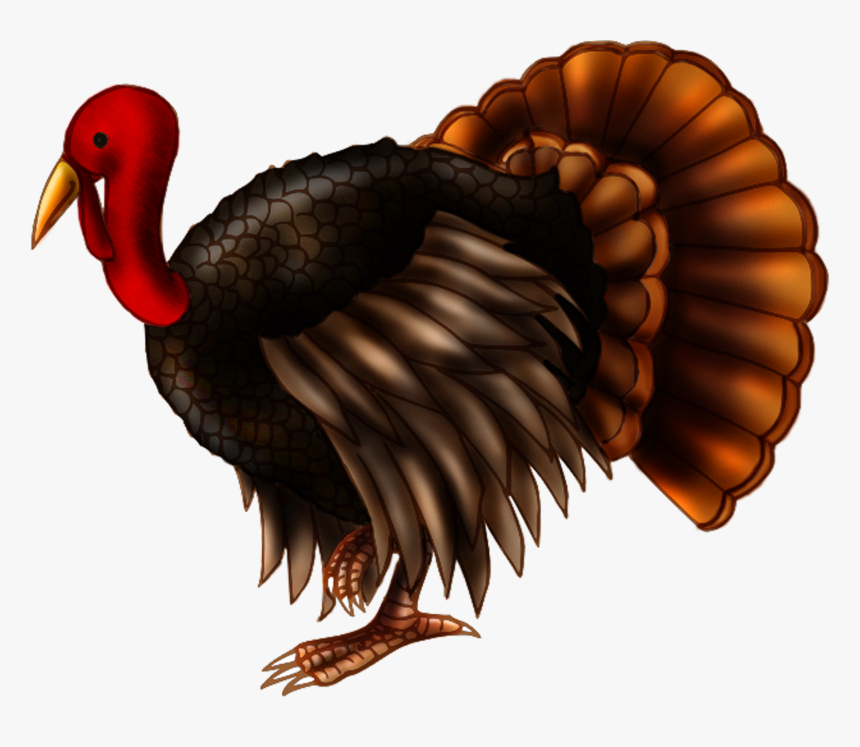 Realistic Turkey Clipart No Background Clip Royalty - Transparent Background Turkey, HD Png Download, Free Download