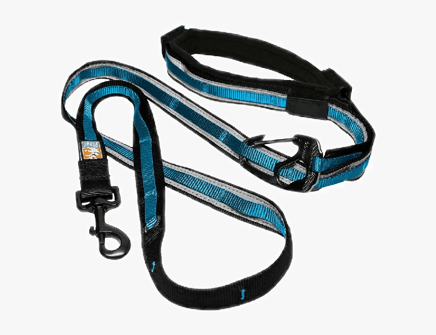 Kurgo Quantum Dog Leash, HD Png Download, Free Download