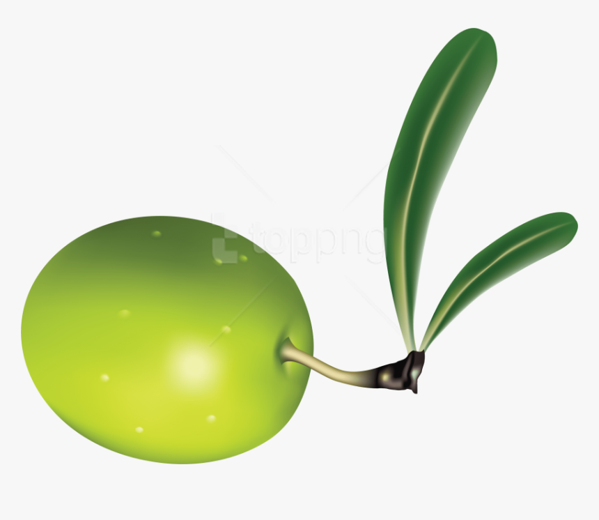Free Png Download Olives Clipart Png Photo Png Images - Olive Png, Transparent Png, Free Download