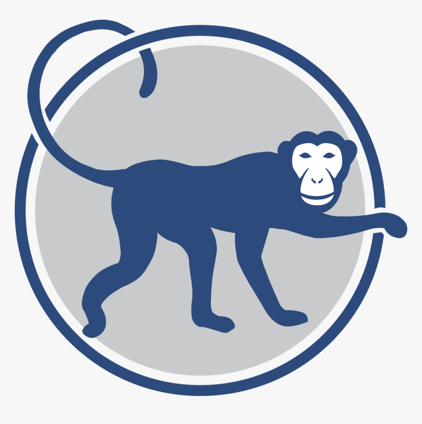 Monkey Icon-min - Blue Monkey Icon, HD Png Download, Free Download