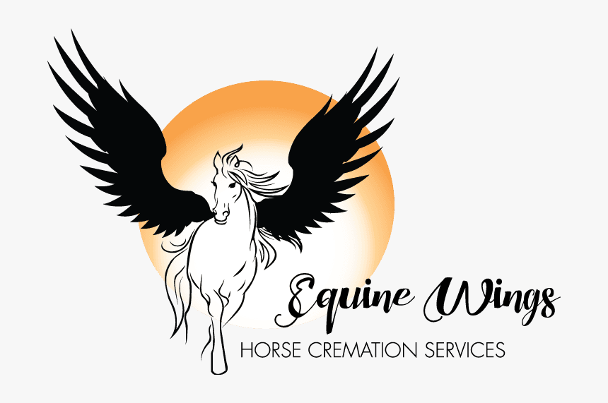 Equine Wings Logo - Logos Horse With Wings, HD Png Download, Free Download