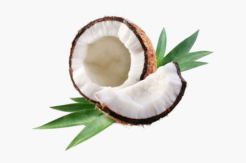 Coconut Oil Png, Transparent Png, Free Download