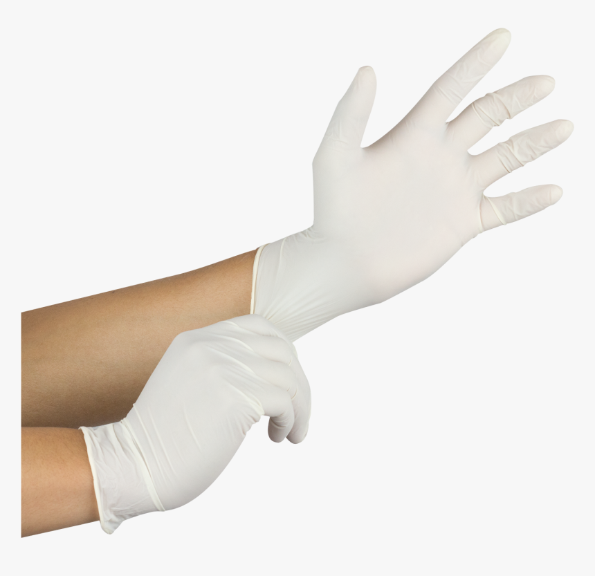 Medical Gloves Png - White Medical Gloves Png, Transparent Png, Free Download