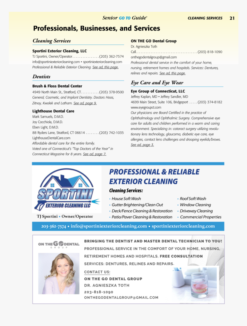 Cleaning Services Professionals, Businesses, And Services - Brochure, HD Png Download, Free Download