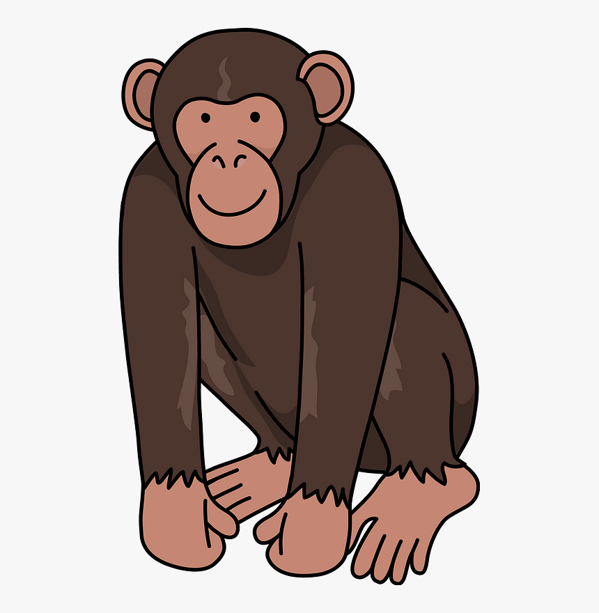 Chimpanzee Monkey Clipart - Chimpanzee Clipart Png, Transparent Png, Free Download