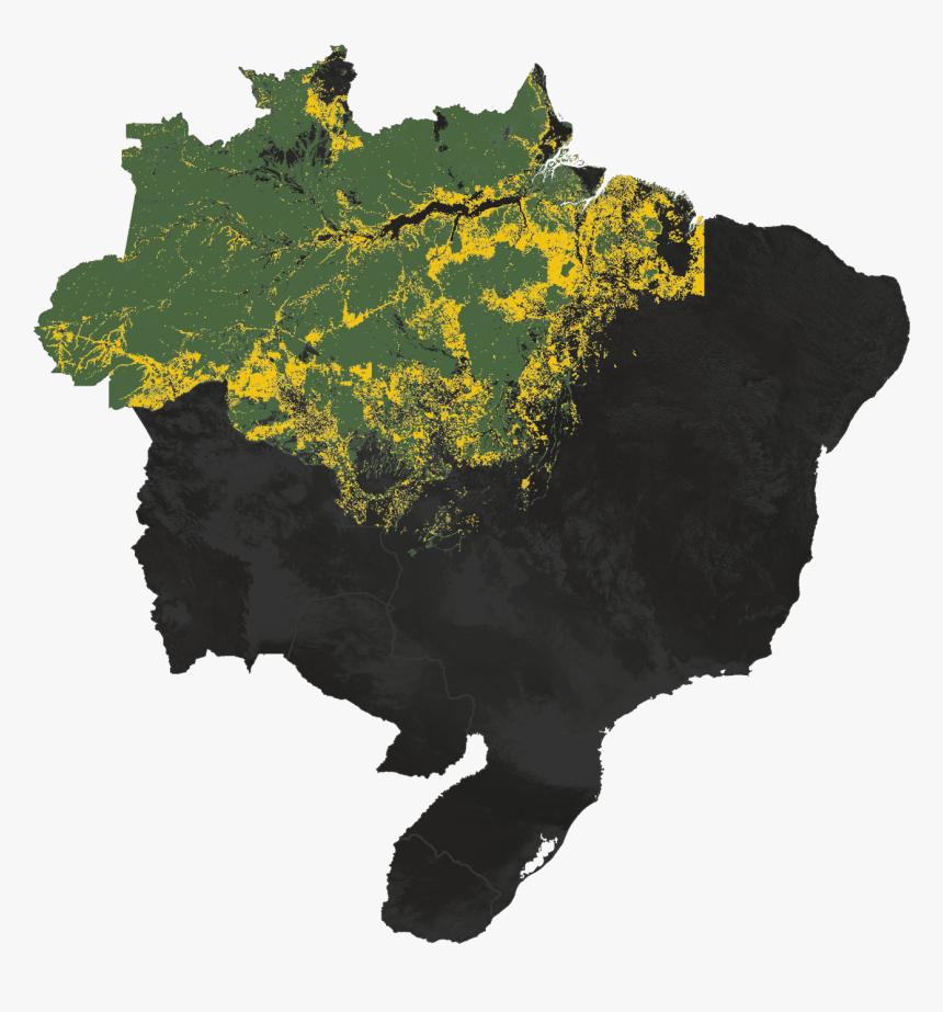 Brazil Map Grey Png, Transparent Png, Free Download