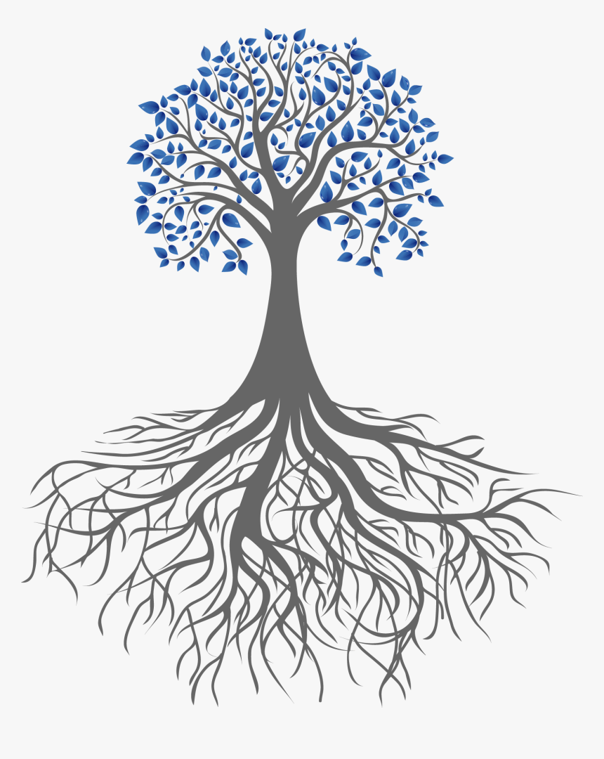 Root Portable Network Graphics Clip Art Tree Branch - Black And White Simple Drawings, HD Png Download, Free Download