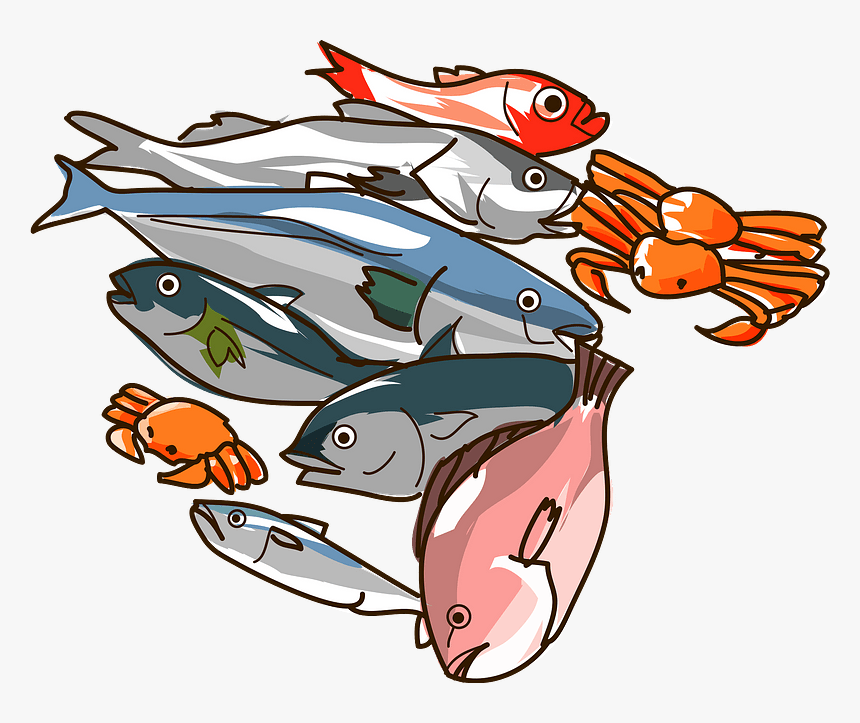 Seafood Fishes Clipart - 魚介 類 イラスト フリー, HD Png Download, Free Download