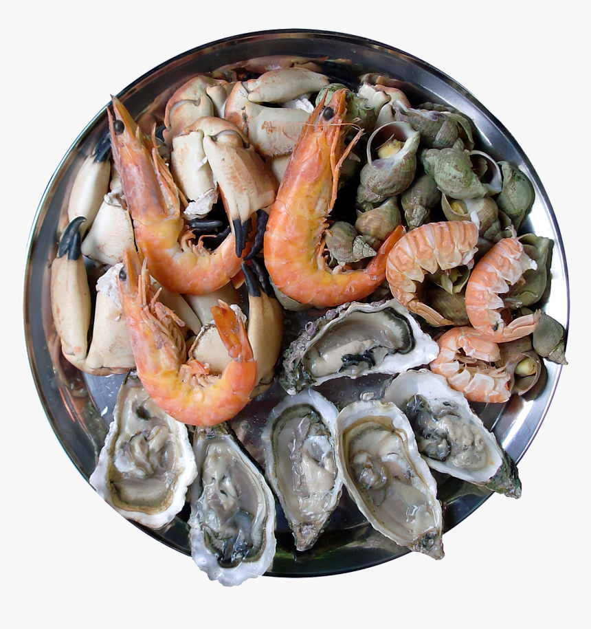 Seafood Platter - Food Should Be Avoided For Babies, HD Png Download, Free Download