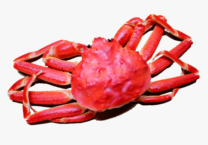 Transparent Red Crab Png - Snow Crab Png Transparent, Png Download, Free Download