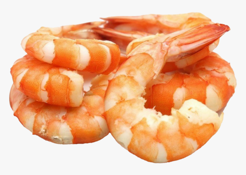 Shrimp Png Pic - Shrimp Transparent Background Cooked, Png Download, Free Download