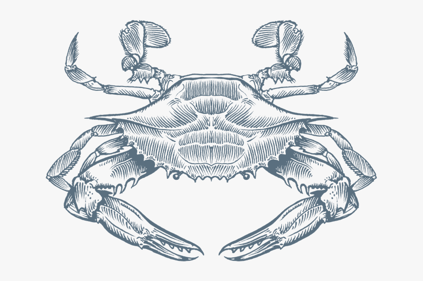 Photo - Cancer, HD Png Download, Free Download