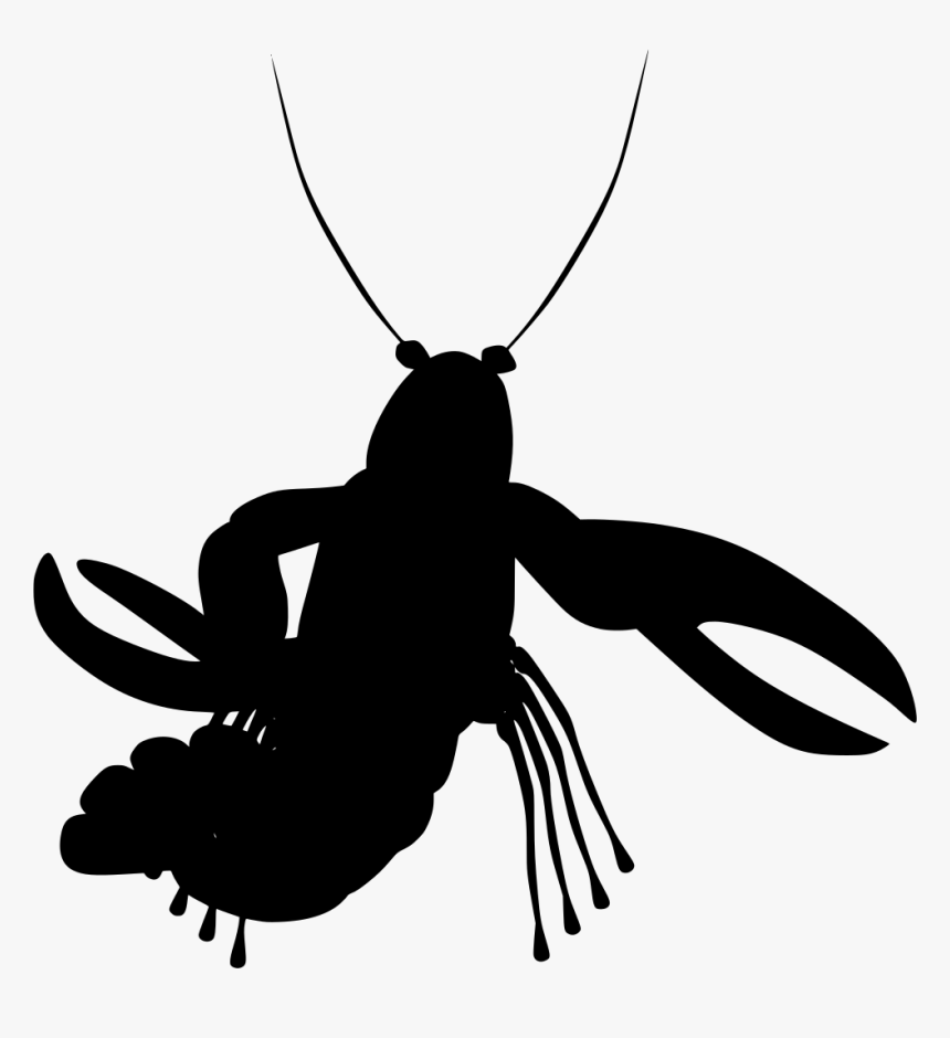 Transparent Background Crawfish Clip Art, HD Png Download, Free Download