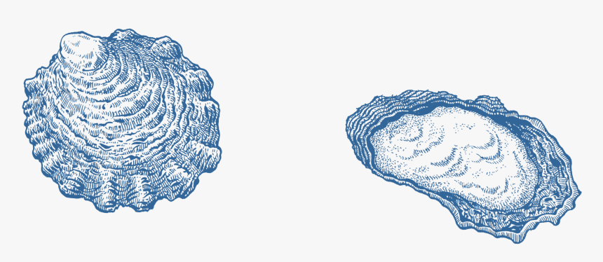 Drawing, HD Png Download, Free Download