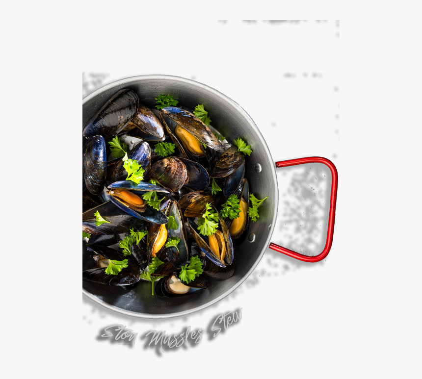 Decoration - Bottom Left - Mussel, HD Png Download, Free Download