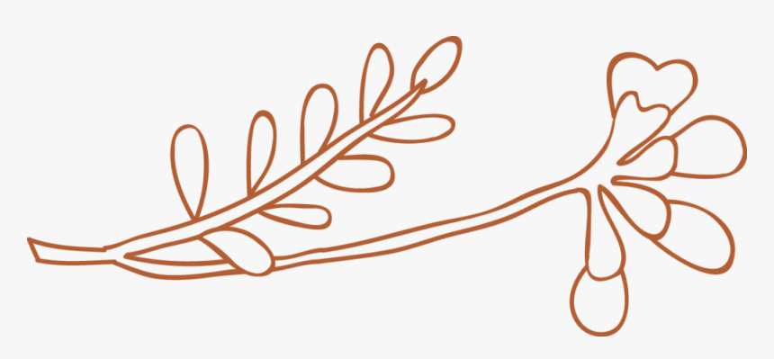 Floral5, HD Png Download, Free Download