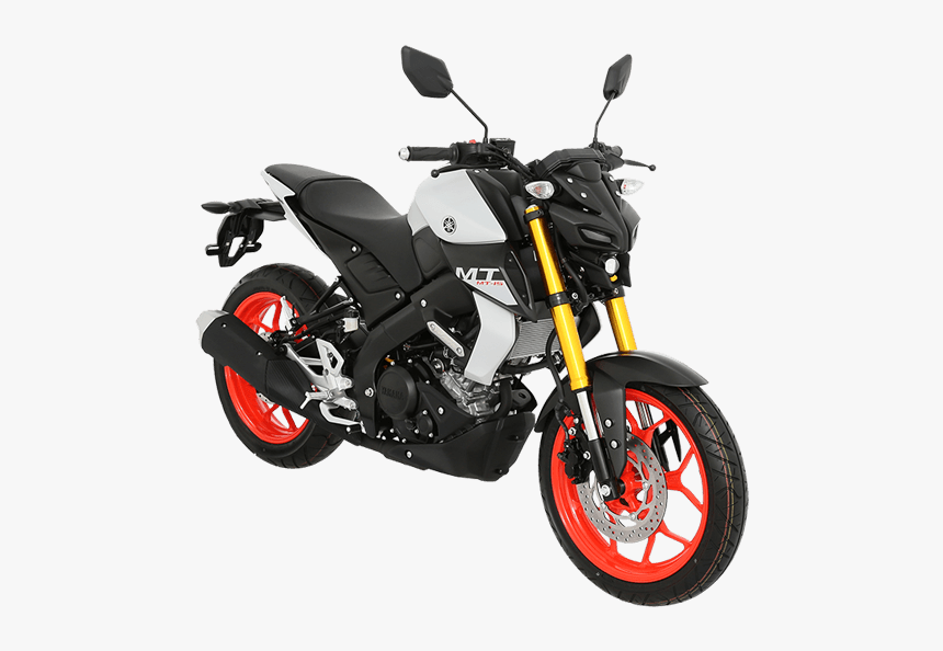 MT 15 2019