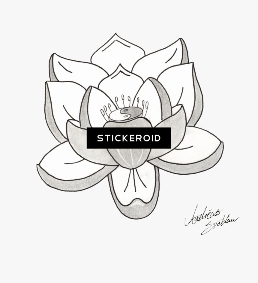 Lotus Tattoos Png Transparent Images - Line Art, Png Download, Free Download