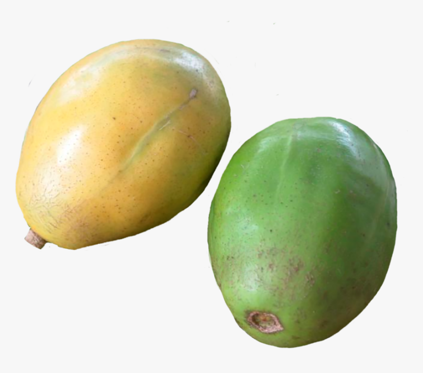 Spondias - Papaya, HD Png Download, Free Download