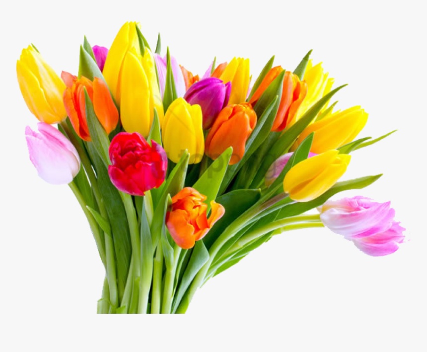 Free Png Download Mothers Day Tulip Flower Bouquet - Tulip Flower Png Hd, Transparent Png, Free Download