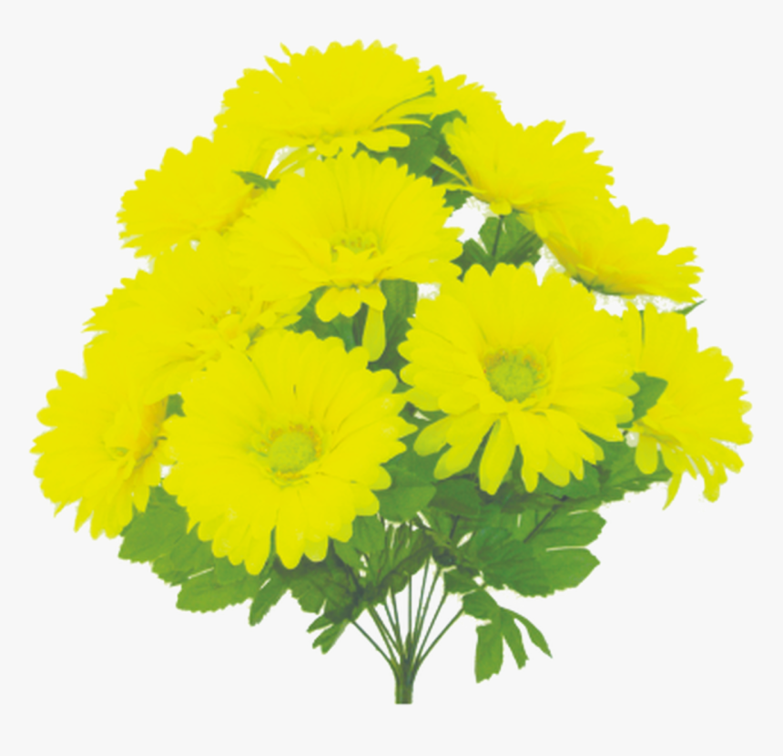 19 - English Marigold, HD Png Download, Free Download