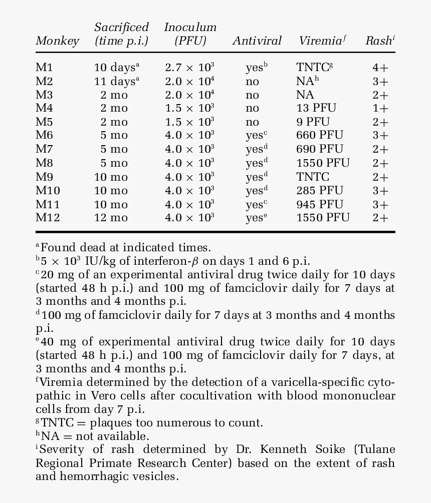 Document, HD Png Download, Free Download