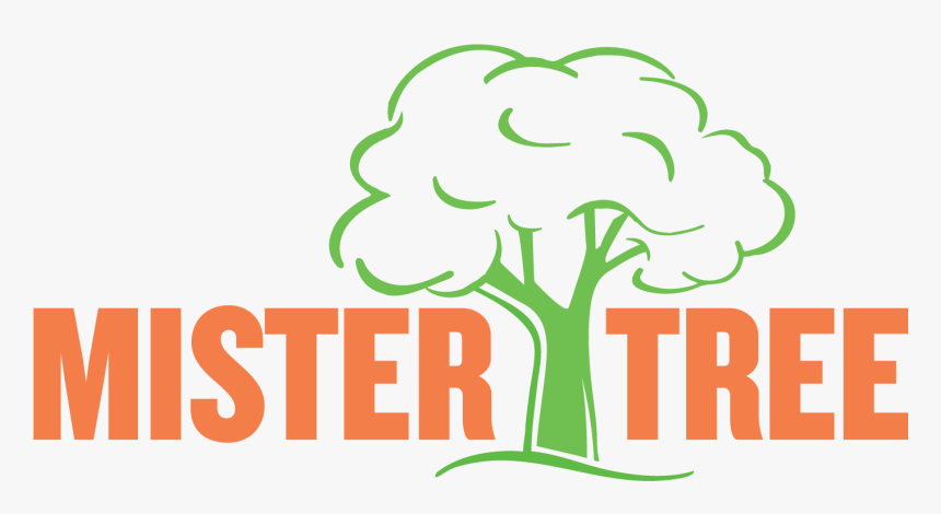 Mister Tree Service Logo - Tree, HD Png Download, Free Download