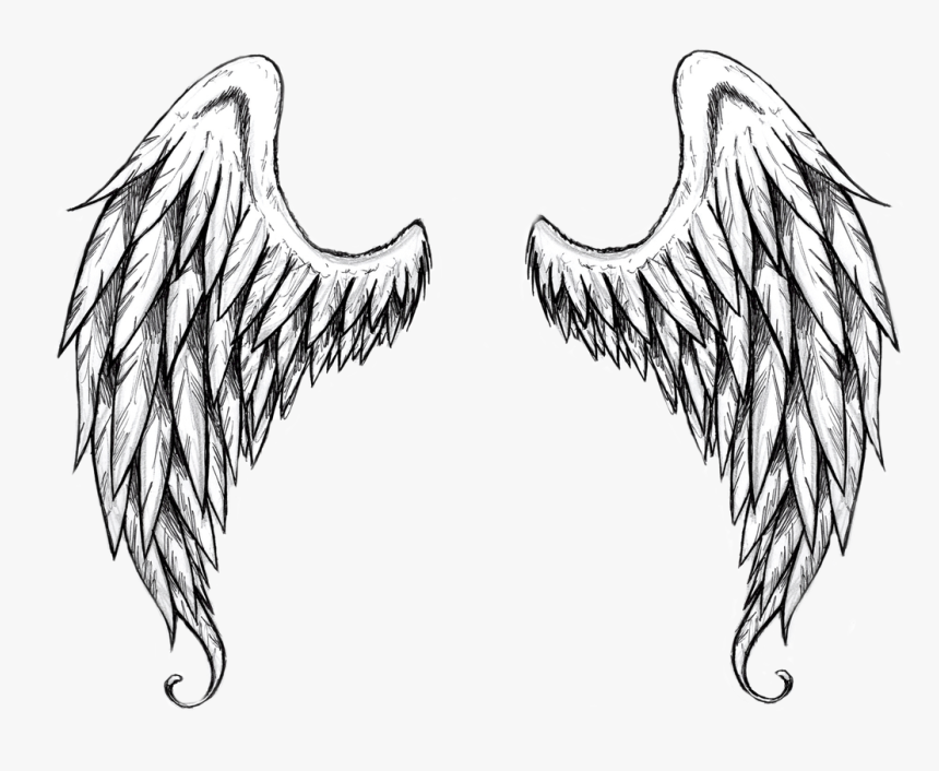 Angel Wings Tattoo Drawing, HD Png Download, Free Download