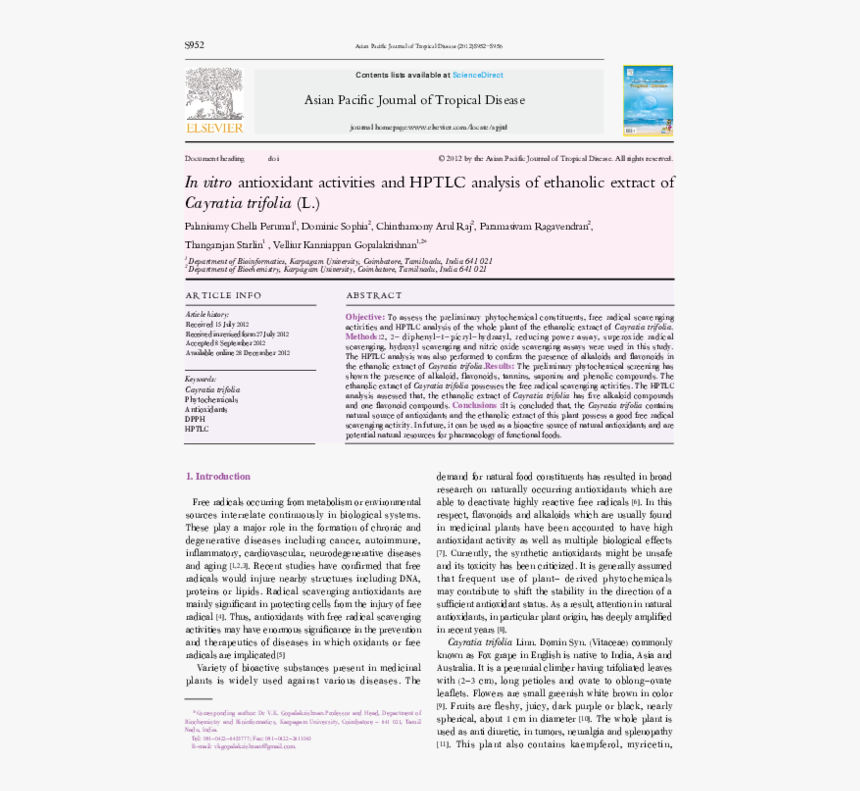 Plaza De San Marcos, HD Png Download, Free Download