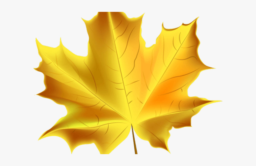 Clip Art Fall Leaves Transparent Background, HD Png Download, Free Download