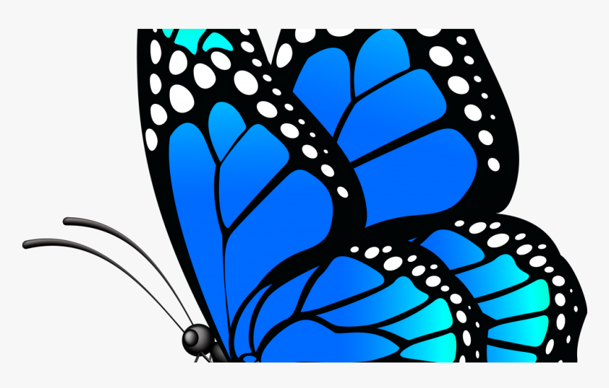 Butterfly Hd Png Download Clipart , Png Download - Vaux-de-cernay Abbey, Transparent Png, Free Download