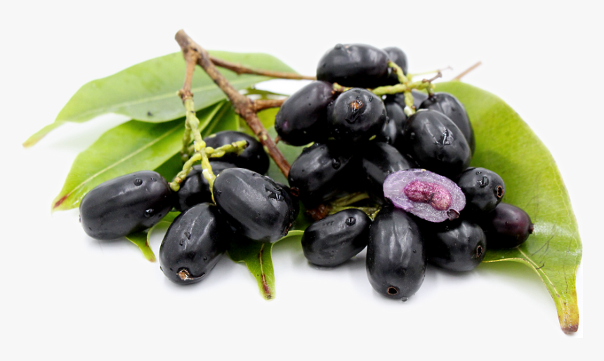 Malabar Plum Where Can I Buy Java Plum, HD Png Download, Free Download