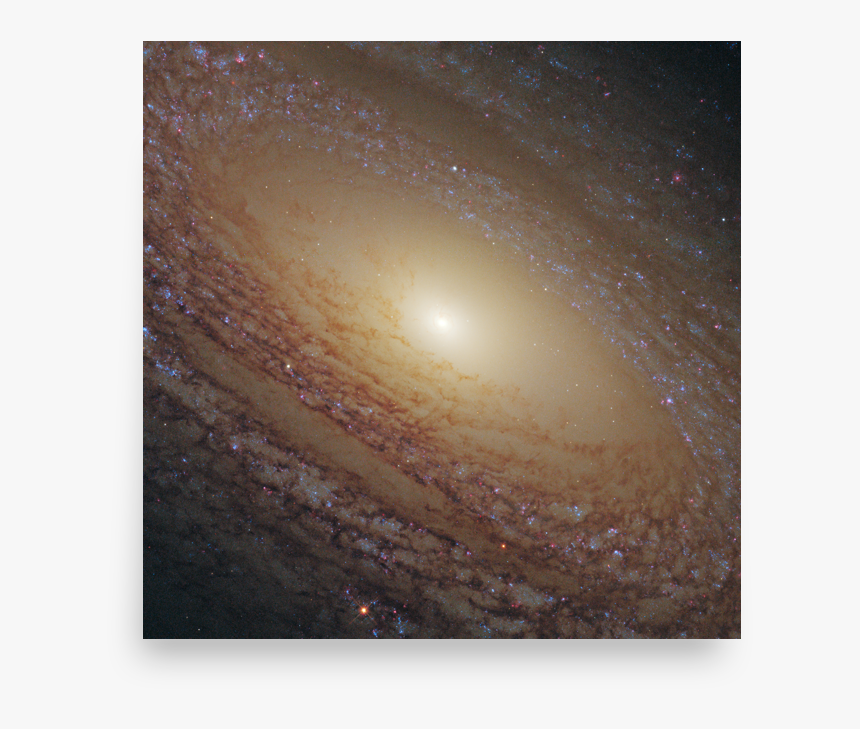 Spiral Galaxy Ngc - Ngc 2841, HD Png Download, Free Download