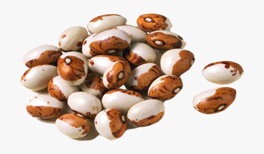 Kidney Beans Png - Квасоля Png, Transparent Png, Free Download