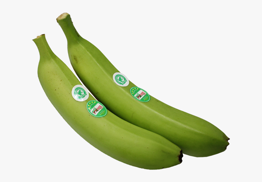 Saba Banana , Png Download - Saba Banana, Transparent Png, Free Download